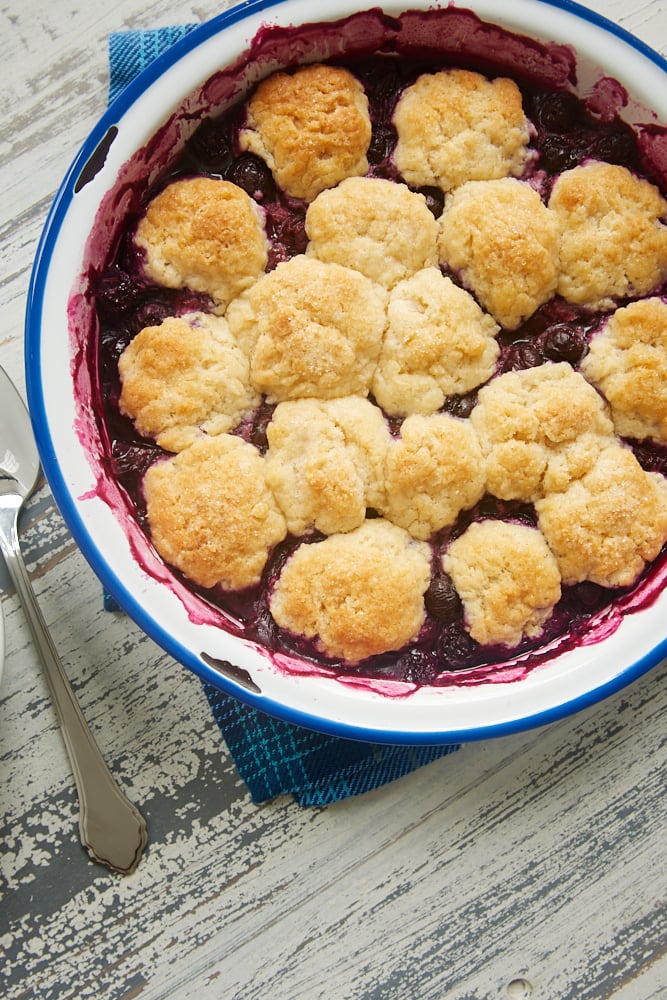 Blueberry Cobbler with Ginger Biscuits in a blue-rimmed white baker