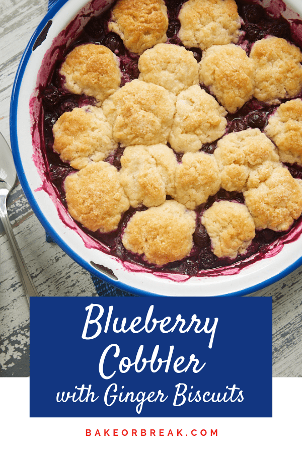 Blueberry Cobbler with Ginger Biscuits bakeorbreak.com