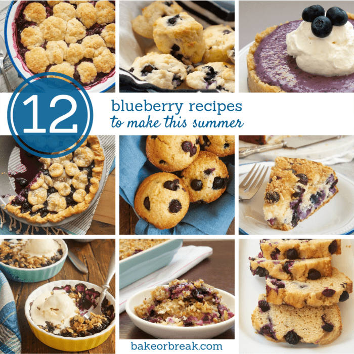 Blueberry Jamboree Bake or Break