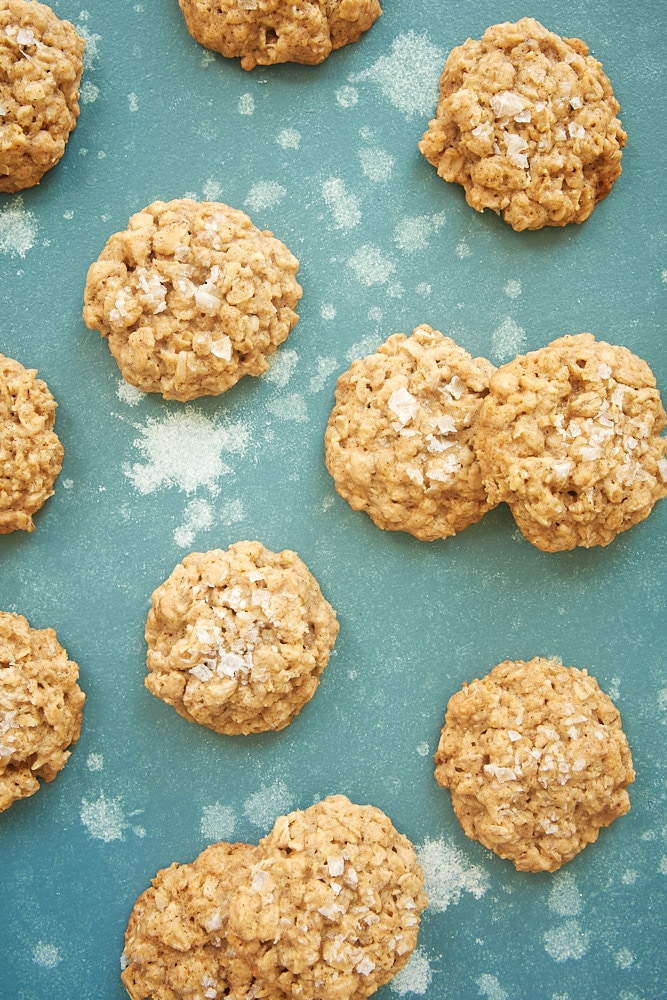 Salted Oatmeal Cookies on a blue background