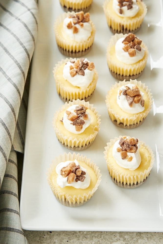 Brownie Bottom Mini Cheesecakes on a white serving tray