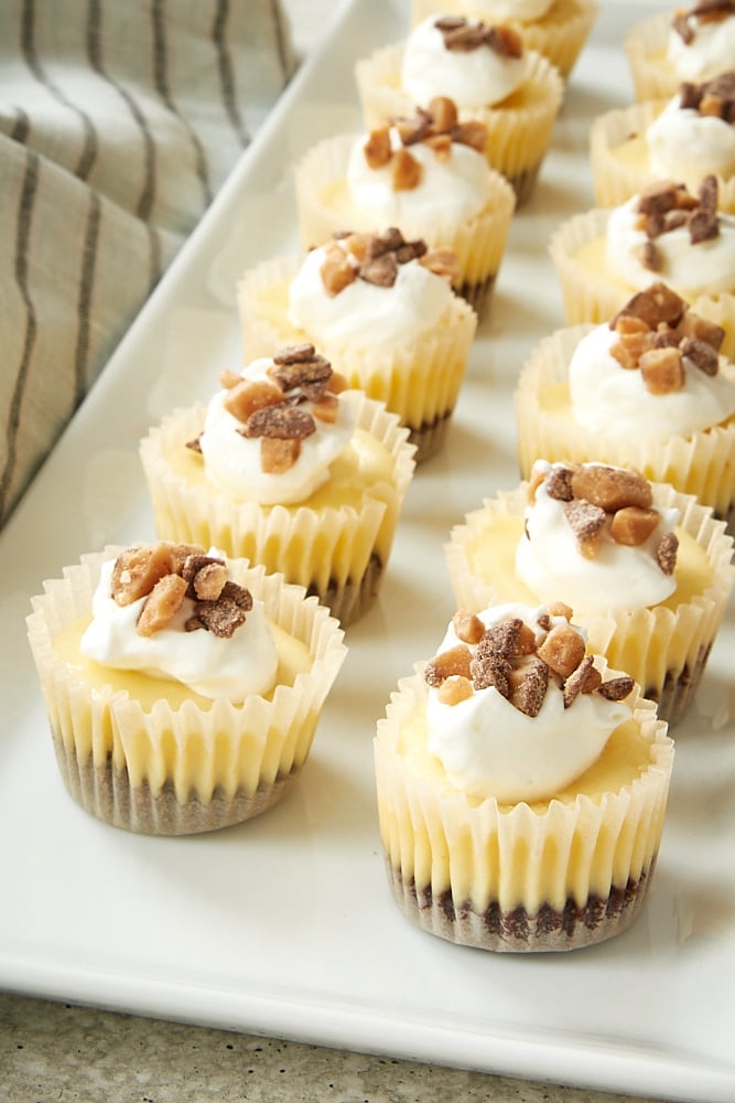 Brownie Bottom Mini Cheesecakes served on a white tray