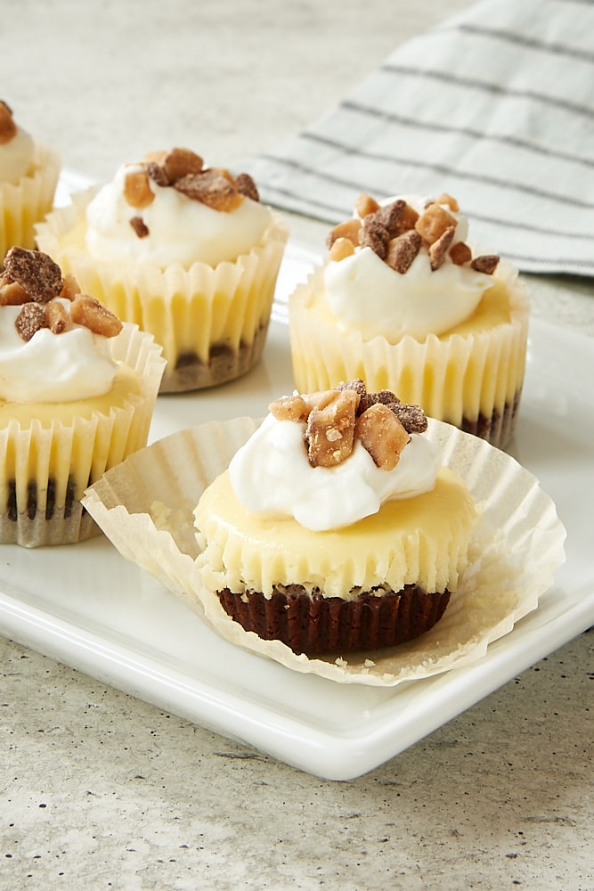 Mini Cheesecake Cups in Muffin Pan