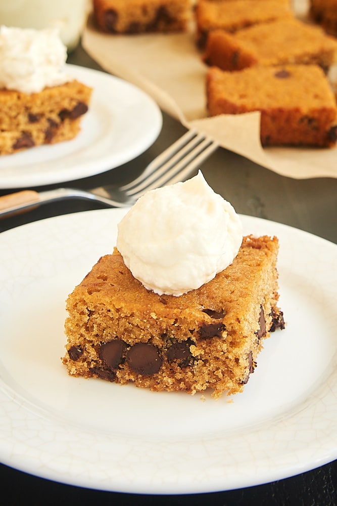 Chocolate Chip Graham Cracker Snack Cake on a white plate