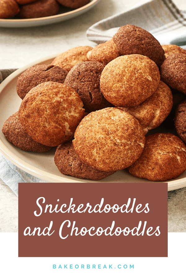 Snickerdoodles and Chocodoodles on a plate together.