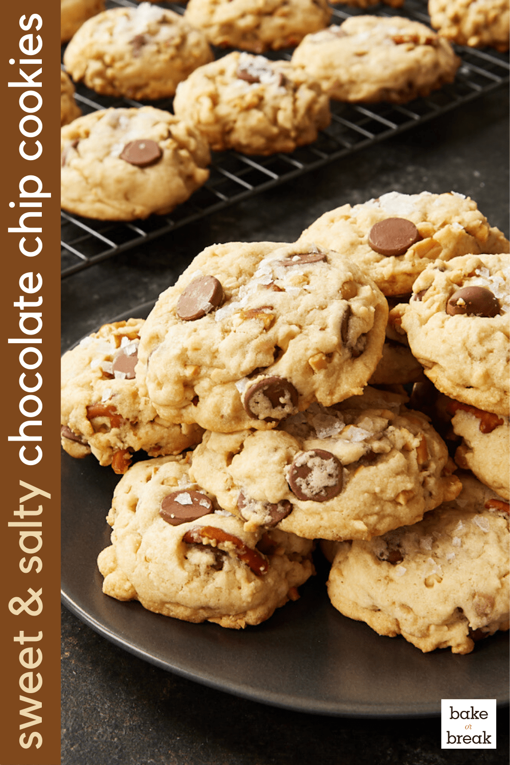 Sweet and Salty Chocolate Chip Cookies Bake or Break