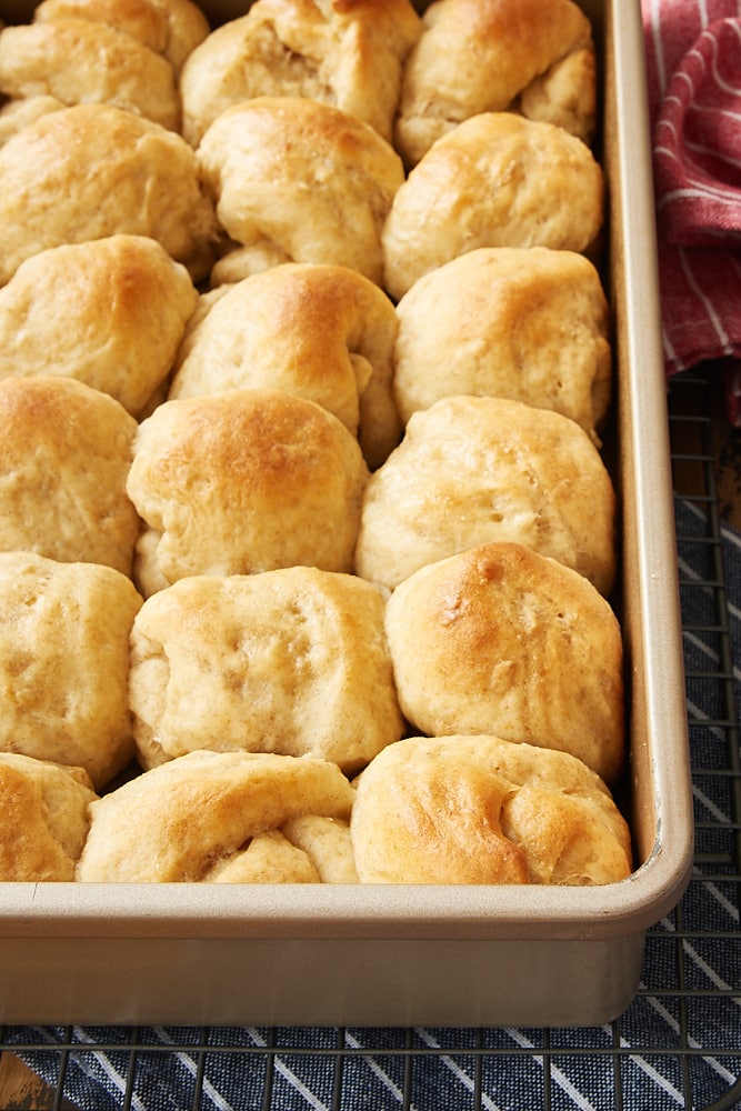 Honey Oat Rolls in a baking pan on a wire rack