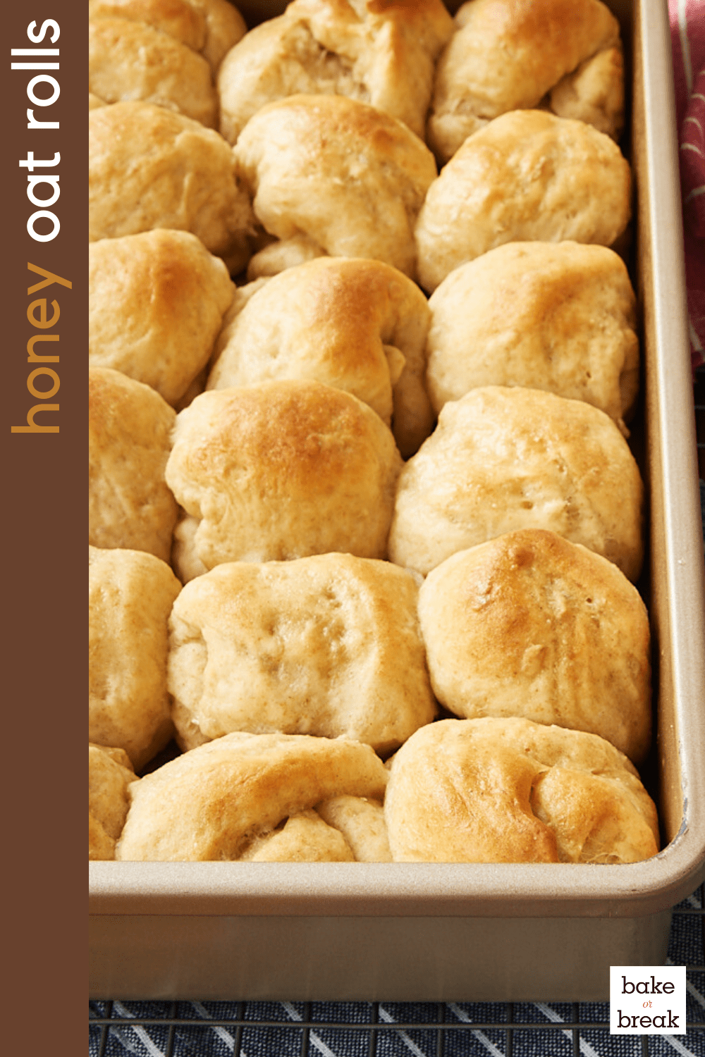 Honey Oat Rolls