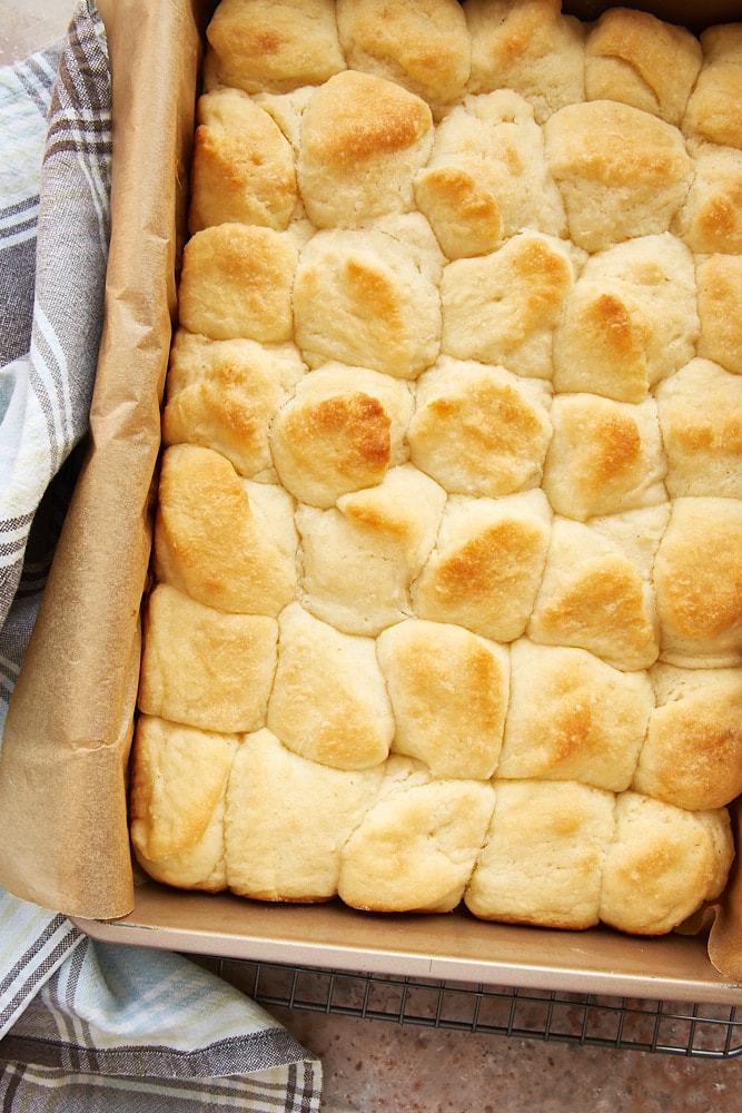 Angel Biscuits in a parchment-lined baking pan