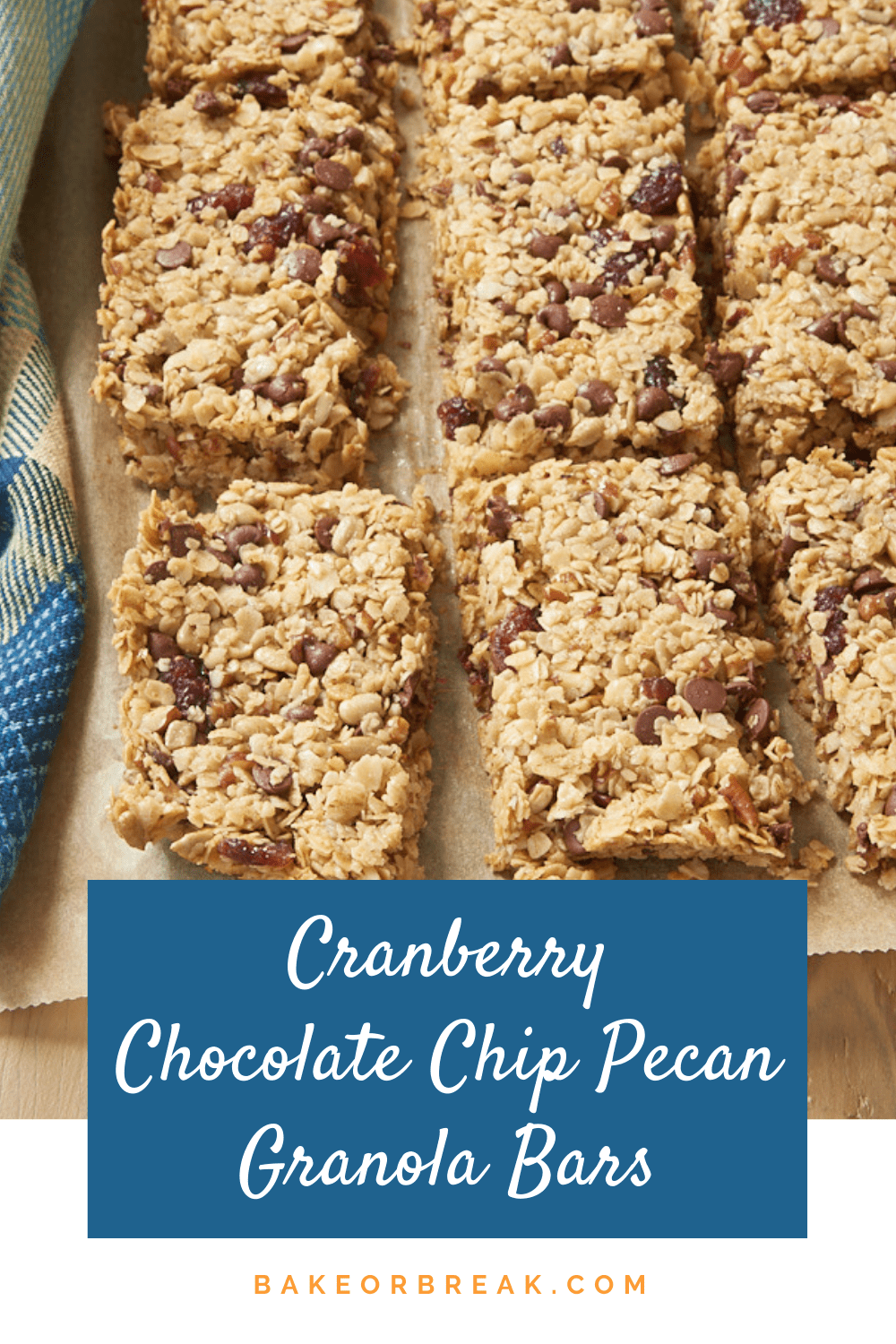 Cranberry Chocolate Chip Pecan Granola Bars