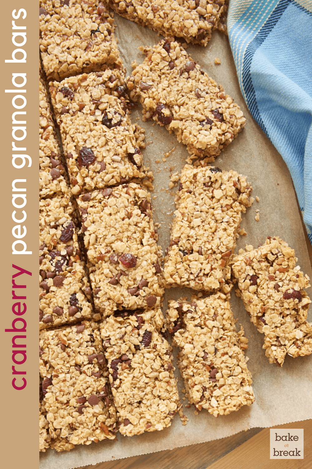 Cranberry Chocolate Chip Pecan Granola Bars