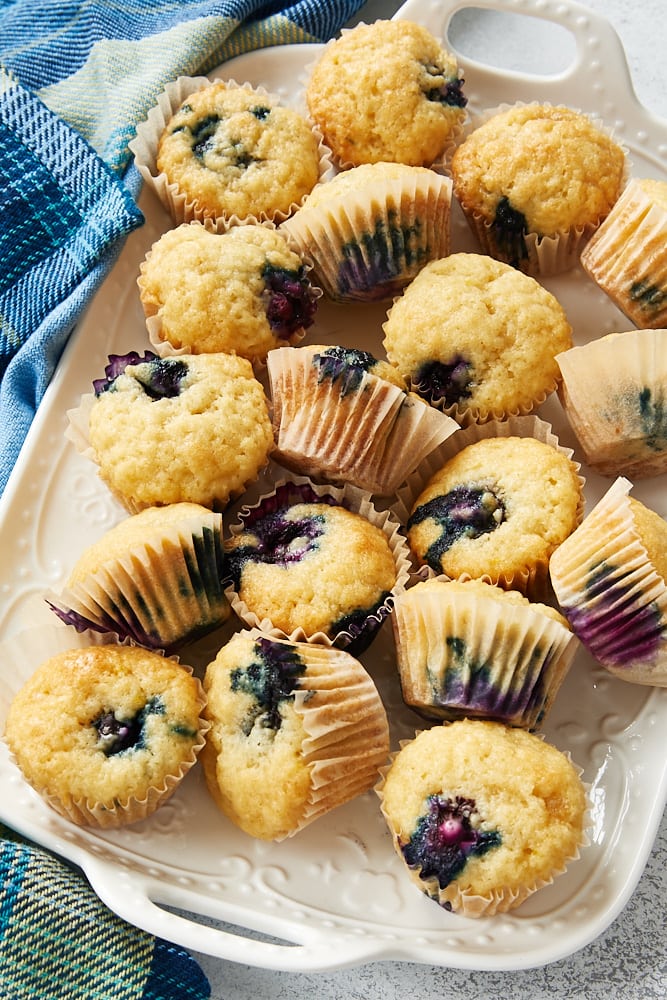 Blueberry Sour Cream Mini Muffins in paper liners on a white tray.