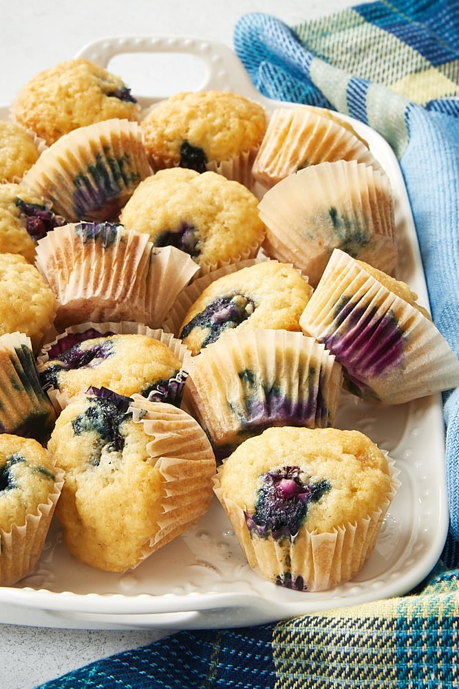 Blueberry Sour Cream Mini Muffins on a white tray.