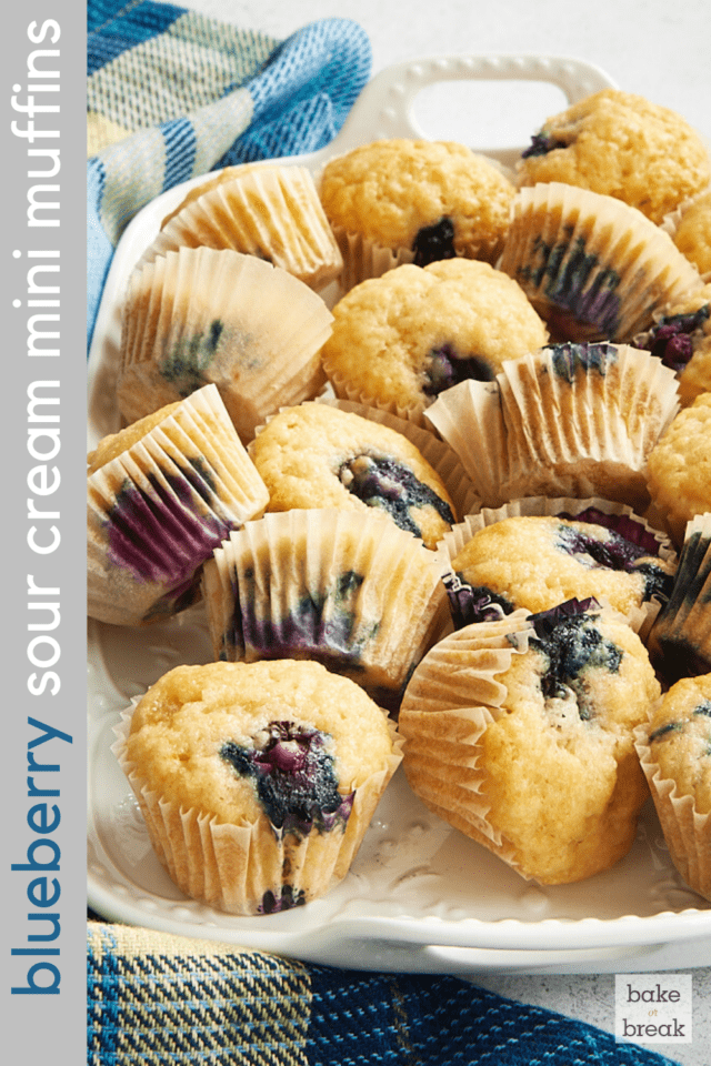 Blueberry Sour Cream Mini Muffins Bake or Break