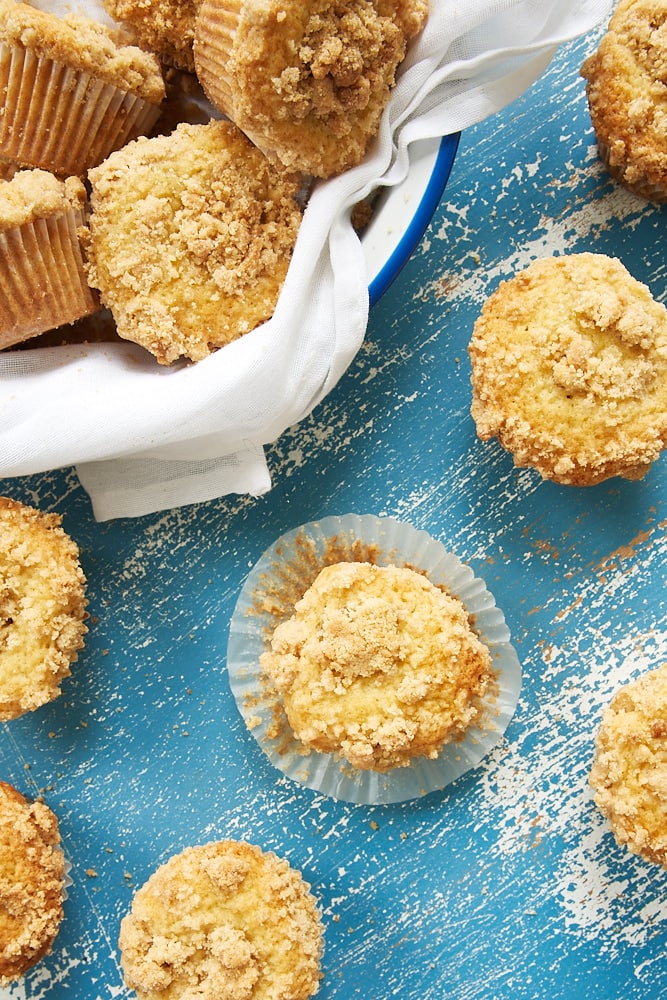 Vanilla Crumb Muffins on a scarred blue surface