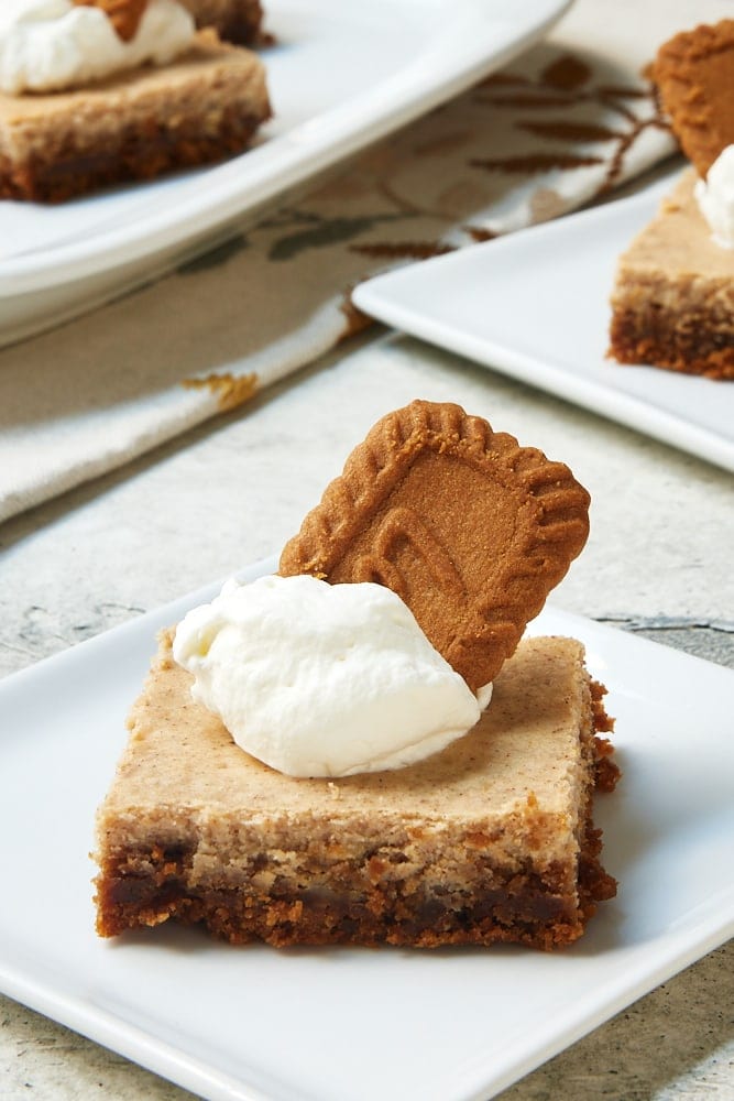 Spiced Cheesecake Bars topped with whipped cream and spiced cookies