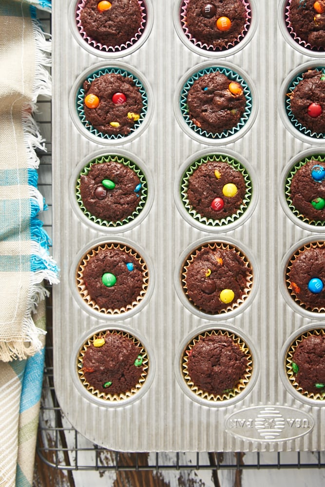 overhead view of freshly baked M&M Brownie Bites in a mini muffin pan