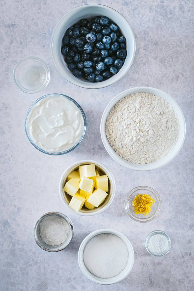 Overhead view of ingredients for Blueberry Cookies.