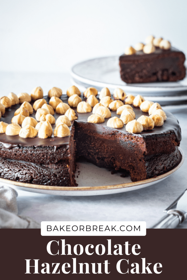 Chocolate Hazelnut Cake bakeorbreak.com
