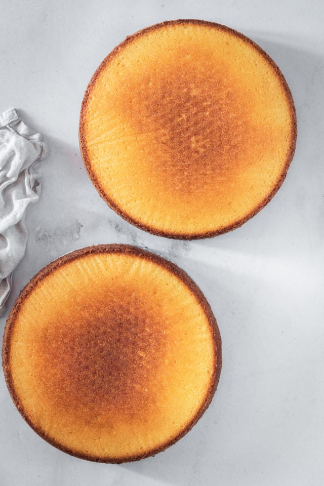 Overhead shot of two caramel cake layers.