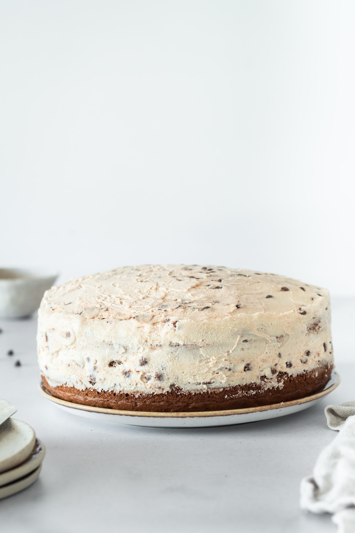 Whole Chocolate Chip Cake on plate