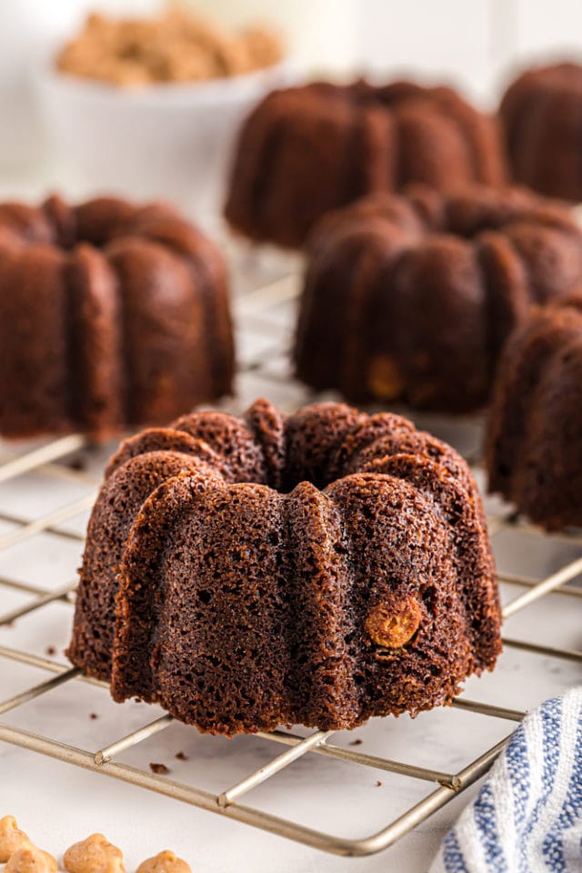 Mini Chocolate Bundt Cakes with Candied Orange Slices • Salt & Lavender