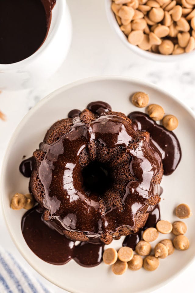 Mini Peanut Butter Chocolate Bundt Cake - Recipes