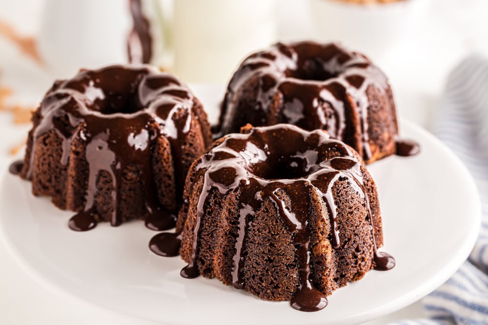 Mini Chocolate Bundt Cakes with Peanut Butter Filling | Bake or Break