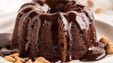 https://bakeorbreak.com/wp-content/uploads/2021/10/Mini-Chocolate-Bundt-Cakes-with-Peanut-Butter-Filling-42-480x270.jpg