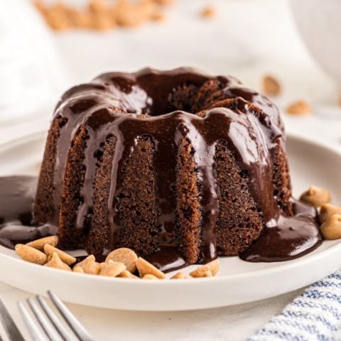 In defense of smaller Bundts: Dark Chocolate Bundt with Peanut