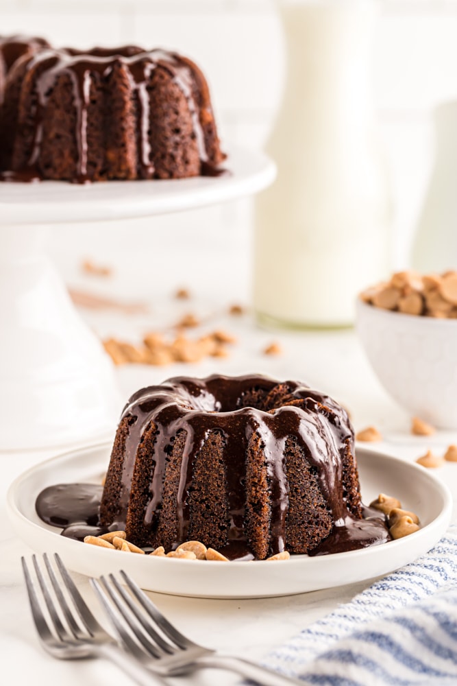 Mini Chocolate Bundt Cake on a white plate