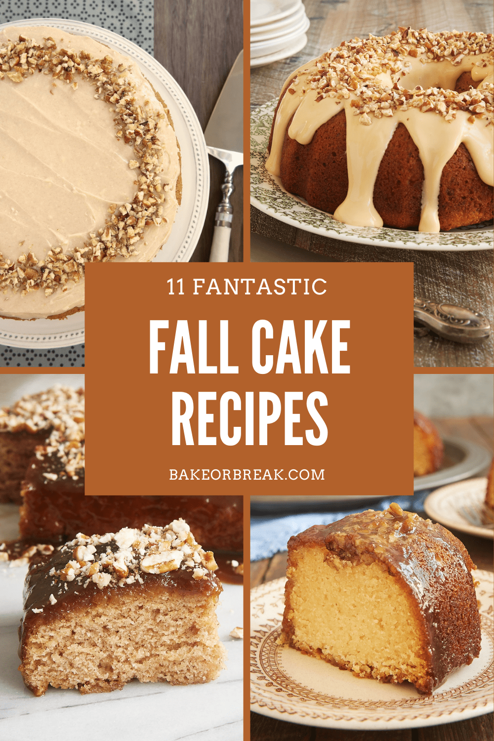 11 Fantastic Fall Cake Recipes bakeorbreak.com