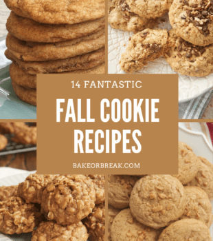 14 Fantastic Fall Cookie Recipes bakeorbreak.com