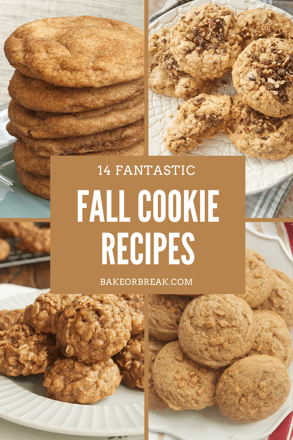 14 Fantastic Fall Cookie Recipes bakeorbreak.com