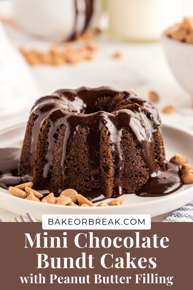 Mini Classic Chocolate Bundt Cakes - Recipes