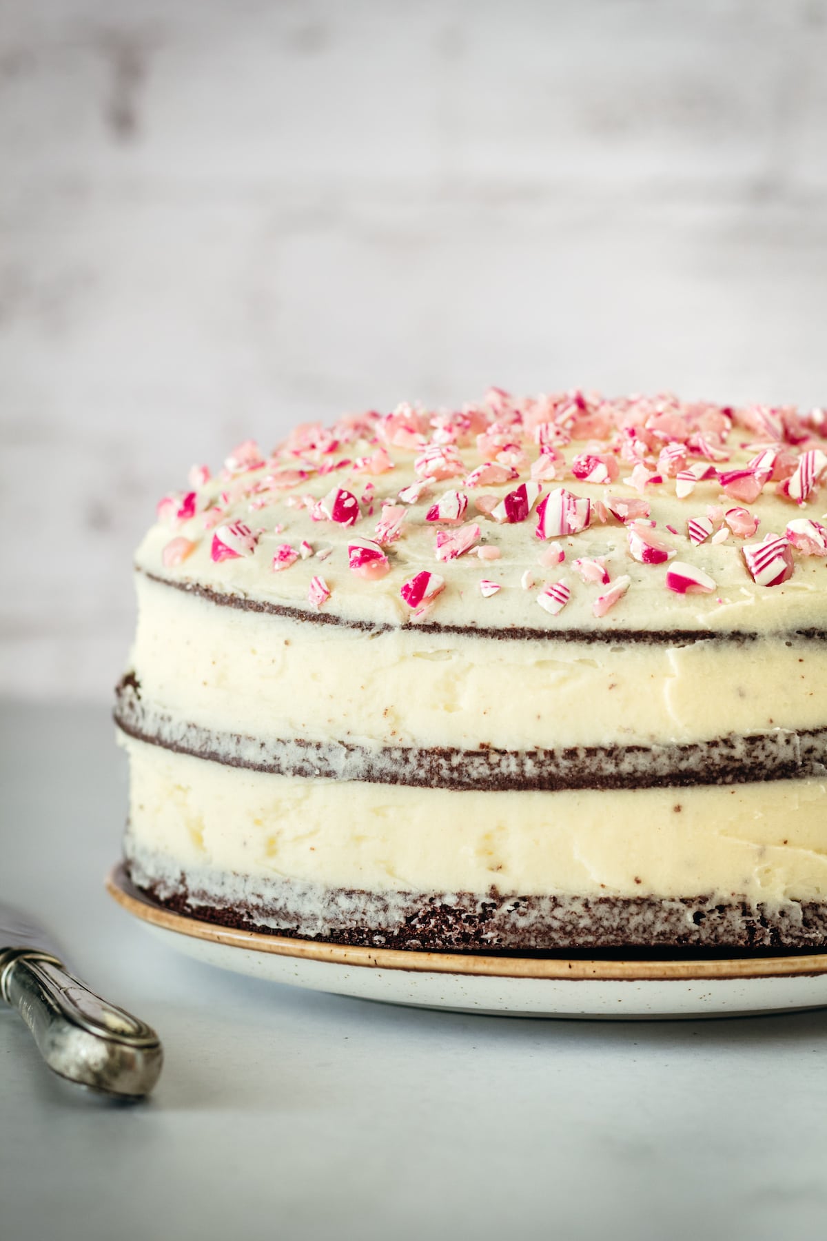 Side view of whole chocolate peppermint cake