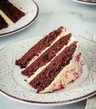 Slice of chocolate peppermint cake on plate