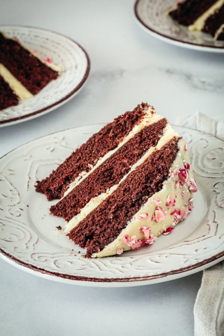 Slice of chocolate peppermint cake on plate