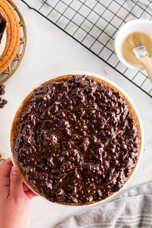 Rich Double Nut Chocolate Cake Bake or Break