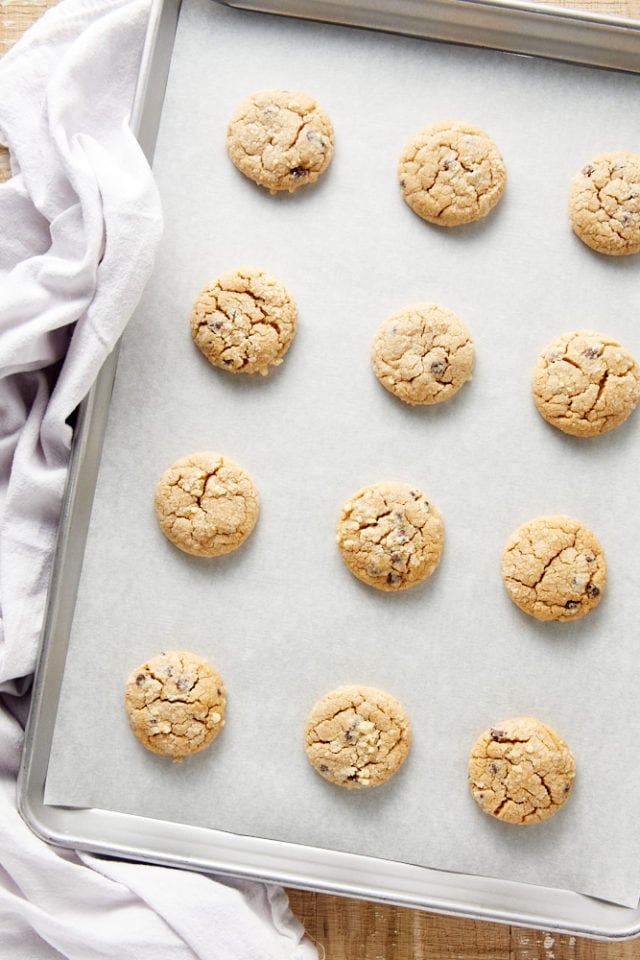 Overhead view of freshly baked peanut butter crinkle cookies.