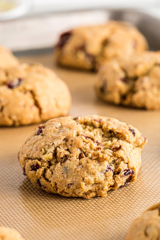 Oatmeal cranberry cookies on a baking pan.