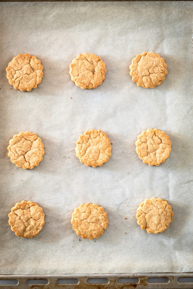Overhead view of peanut butter cutout cookies on parchment paper.