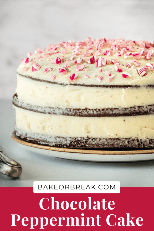 Chocolate Peppermint Cake bakeorbreak.com
