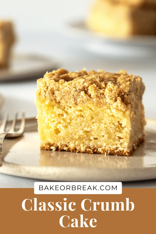 Classic Crumb Cake with cinnamon-sugar topping on a plate.