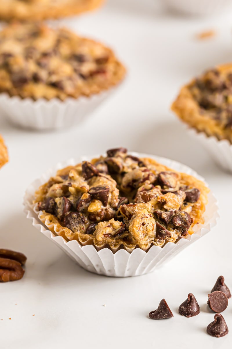 Chocolate chip cupcake in cupcake wrapper