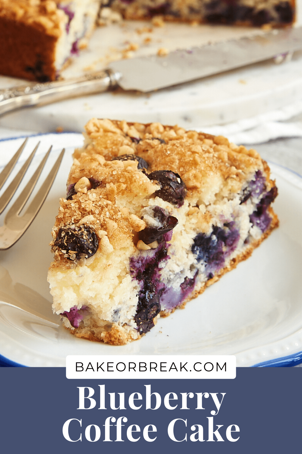 Easy Blueberry Coffee Cake Recipe | Bake or Break