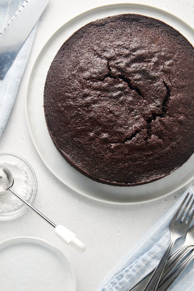 Overhead view of cocoa cake before dusting with sugar