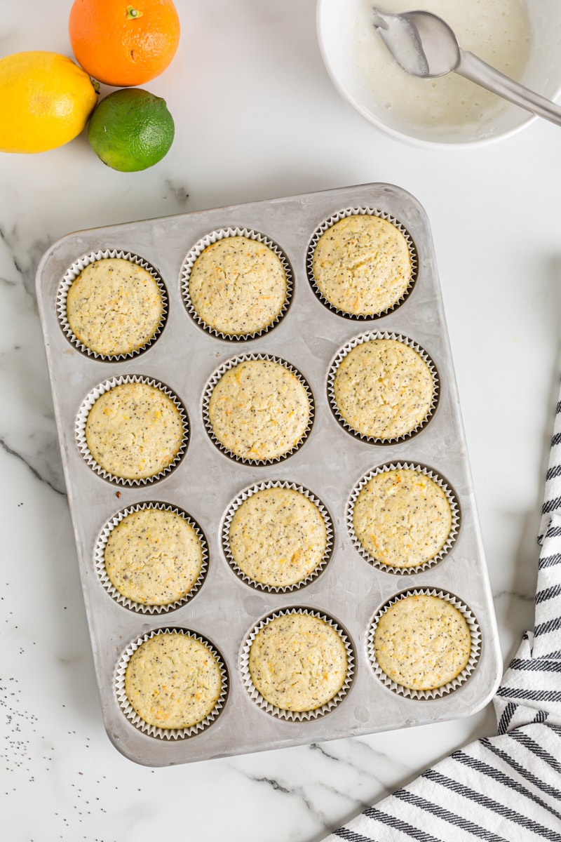 Overhead view of baked citrus poppy seed muffins in pan