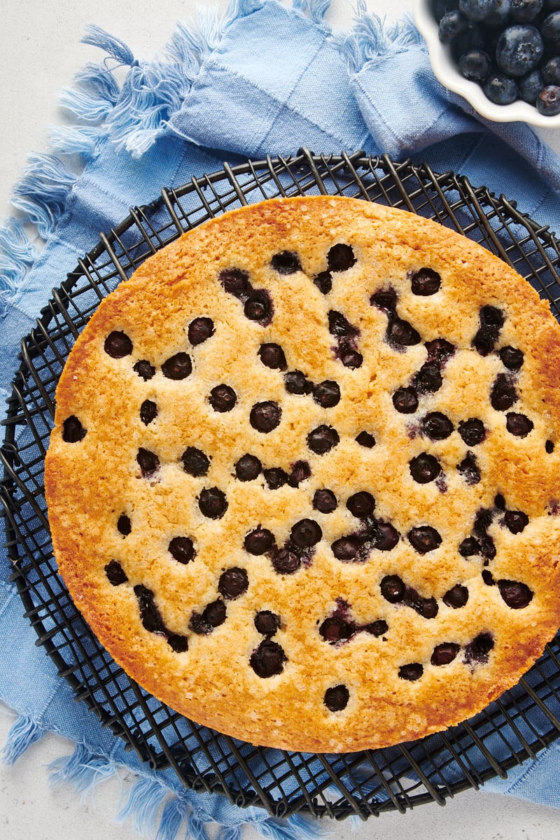 Overhead view of whole blueberry cake on wire rack