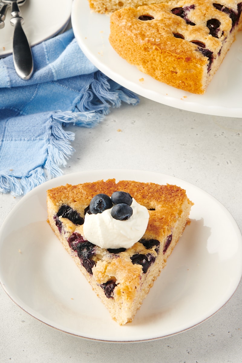 Slice of blueberry cake on plate with whipped cream and berries